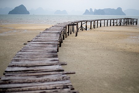 Du lịch đừng bỏ qua Bãi Dài Quảng Ninh đầy hoang sơ