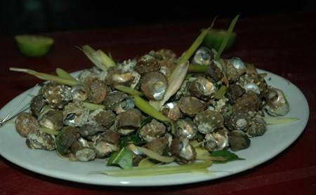 Đảo Cô Tô - Điểm Nghỉ Dưỡng Lý Tưởng Của Mùa Hè - Ảnh 19 Đảo Cô Tô - Điểm Nghỉ Dưỡng Lý Tưởng Của Mùa Hè - Ảnh 19