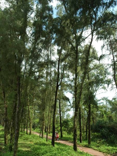 Đảo Cô Tô - Điểm Nghỉ Dưỡng Lý Tưởng Của Mùa Hè - Ảnh 18 Đảo Cô Tô - Điểm Nghỉ Dưỡng Lý Tưởng Của Mùa Hè - Ảnh 18