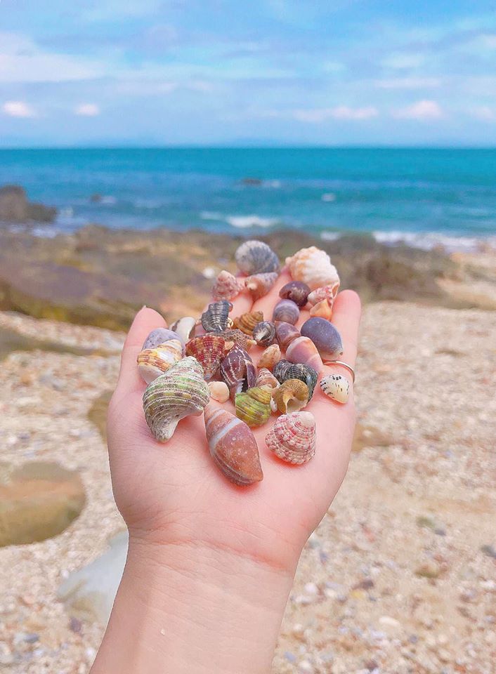 Review hành trình Đảo Cô Tô 3 Ngày 2 Đêm Chi Tiết Nhất - Ảnh 5