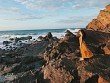 Du lịch Cô Tô: Có một quần đảo hoang sơ, bình yên như thế