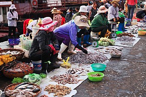 Chợ Hải Sản- Điểm Đến Không Thể Thiếu Khi Tới Cô Tô Chợ Hải Sản- Điểm Đến Không Thể Thiếu Khi Tới Cô Tô