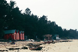 Có Những Thứ Đừng "Ngạc Nhiên" Ở Cô Tô Có Những Thứ Đừng "Ngạc Nhiên" Ở Cô Tô