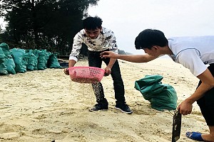 Cô Tô Phát Động Và Đẩy Mạnh Phong Trào Bảo Vệ Môi Trường Cô Tô Phát Động Và Đẩy Mạnh Phong Trào Bảo Vệ Môi Trường