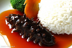 Hải Sâm Cô Tô Hải Sâm Cô Tô