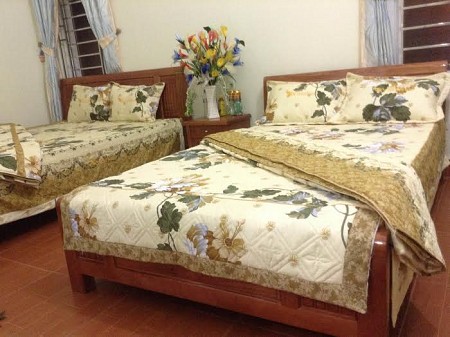 Nhà nghỉ Sao 555 Cô Tô