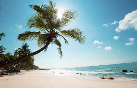 Hà Nội - Vân Đồn - Cô Tô - Bãi Đá Cầu My - Cảng Cái Rồng | Dịp 30/4 3 Ngày 2 Đêm