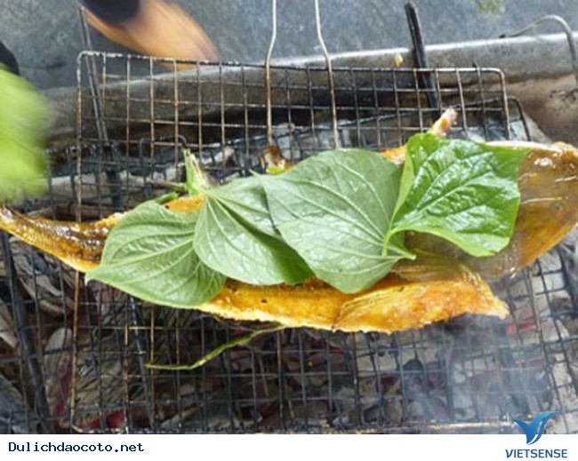 Cá Chai một nắng – đặc sản truyền thống đảo Cô Tô - Ảnh 3