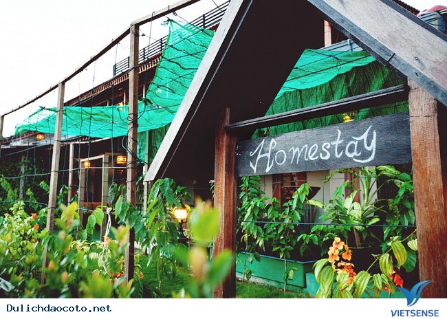 Những điều cần biết về dịch vụ homestay khi đi thăm quan - Ảnh 1