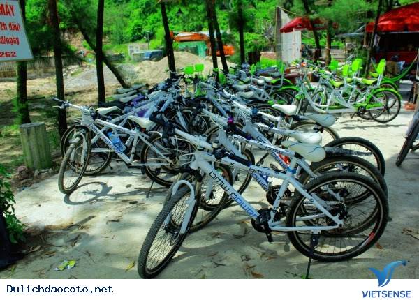 Ăn Gì, Đi Đâu Và Ở Đâu Khi Tới Cô Tô - Ảnh 7 Ăn Gì, Đi Đâu Và Ở Đâu Khi Tới Cô Tô - Ảnh 7