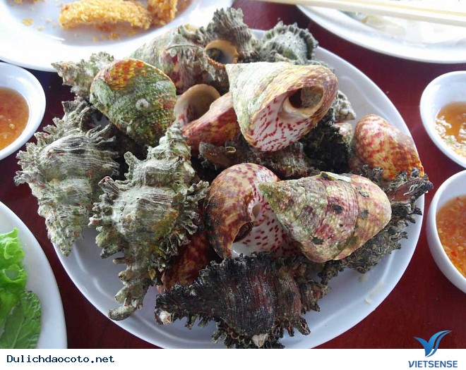 Béo Ngậy Ốc Nón Cô Tô - Ảnh 5