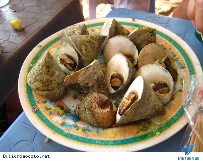 Béo Ngậy Ốc Nón Cô Tô - Ảnh 4