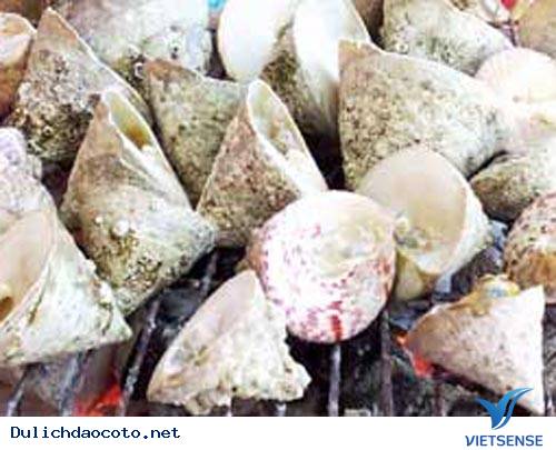 Béo Ngậy Ốc Nón Cô Tô - Ảnh 3