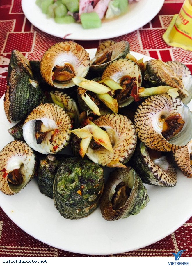 Béo Ngậy Ốc Nón Cô Tô - Ảnh 2