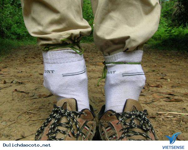 Phòng tránh đối với vắt - Ảnh 2