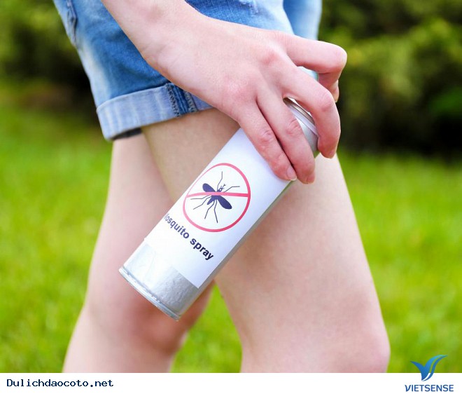 Phòng tránh đối với muỗi - Ảnh 3