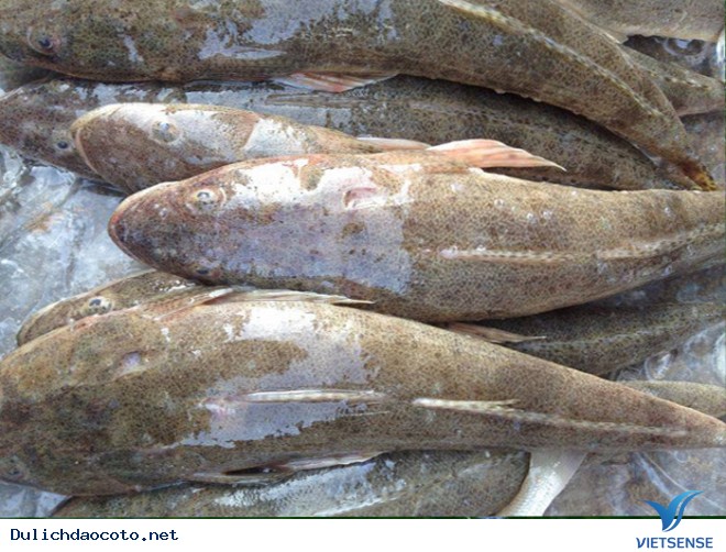 Cá Chai Một Nắng, Món Quà Từ Cô Tô - Ảnh 2