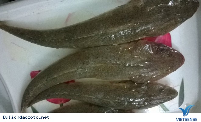 Cá Chai Một Nắng, Món Quà Từ Cô Tô - Ảnh 1