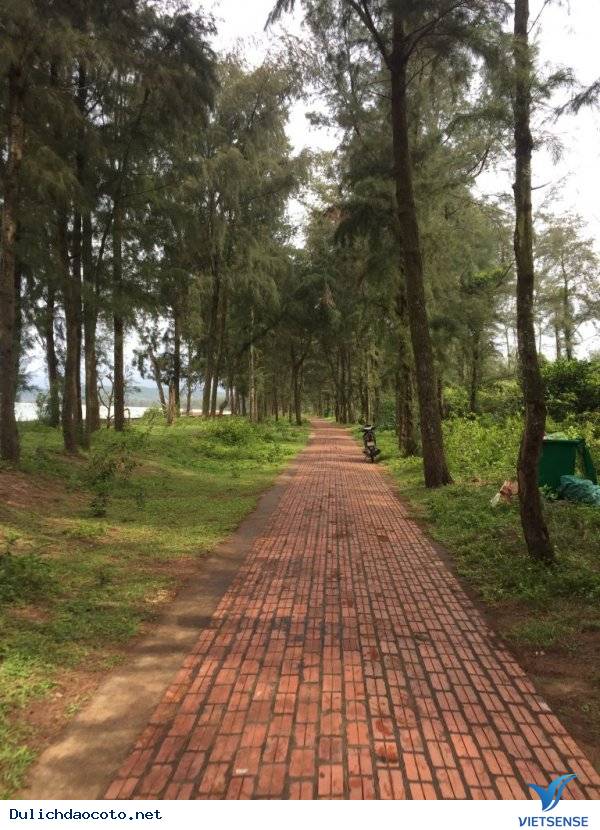 Cảm Nhận Không Gian Lãng Mạn Nhất Cô Tô - Ảnh 3