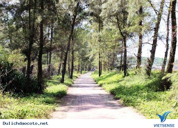 Cảm Nhận Không Gian Lãng Mạn Nhất Cô Tô - Ảnh 1