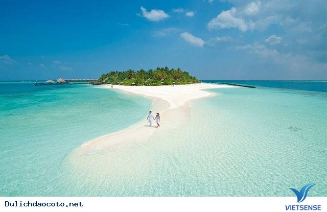 Có Hẹn Với Cô Tô - Ảnh 9 Có Hẹn Với Cô Tô - Ảnh 9