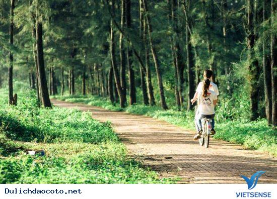 Đến Cô Tô, Bạn Đã Đi Trên Con Đường Tình Yêu Chưa? - Ảnh 3