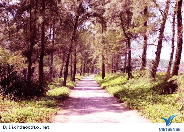 Đến Cô Tô, Bạn Đã Đi Trên Con Đường Tình Yêu Chưa? - Ảnh 2