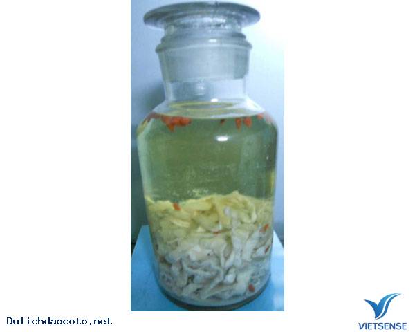 Sá sùng khô ngâm rượu