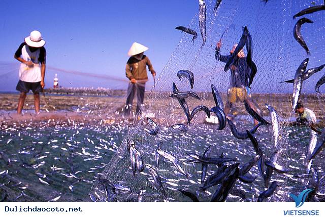 Phát Triển Kinh Tế Cô Tô- Huyện Đảo Tiền Tiêu Của Tổ Quốc - Ảnh 3