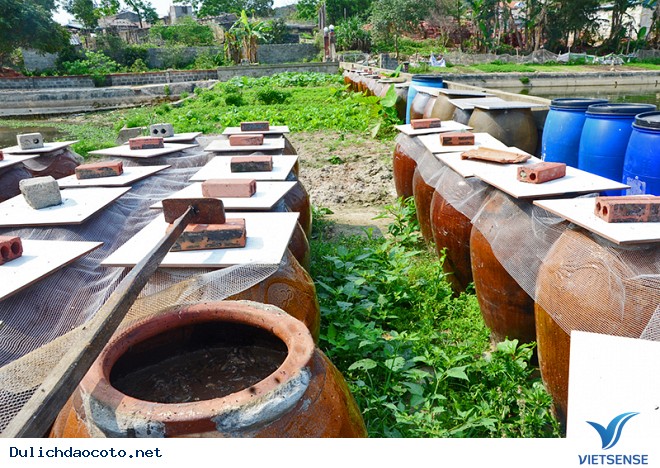 Phát Triển Kinh Tế Cô Tô- Huyện Đảo Tiền Tiêu Của Tổ Quốc - Ảnh 4