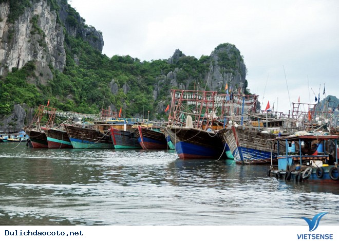 Phát Triển Kinh Tế Cô Tô- Huyện Đảo Tiền Tiêu Của Tổ Quốc - Ảnh 2