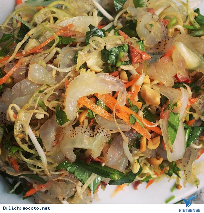 Sứa Biển-Vàng Trắng Cô Tô - Ảnh 2 Sứa Biển-Vàng Trắng Cô Tô - Ảnh 2