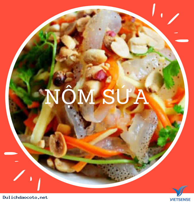 Sứa Biển-Vàng Trắng Cô Tô - Ảnh 1 Sứa Biển-Vàng Trắng Cô Tô - Ảnh 1