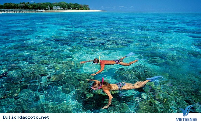 Trải Nghiệm Lặn Ngắm San Hô Khi đi thăm quan Cô Tô - Ảnh 3 Trải Nghiệm Lặn Ngắm San Hô Khi đi thăm quan Cô Tô - Ảnh 3