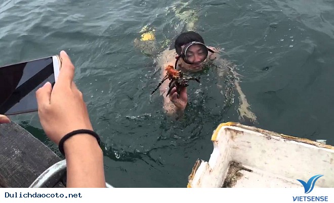 Trải Nghiệm Lặn Ngắm San Hô Khi đi thăm quan Cô Tô - Ảnh 5 Trải Nghiệm Lặn Ngắm San Hô Khi đi thăm quan Cô Tô - Ảnh 5