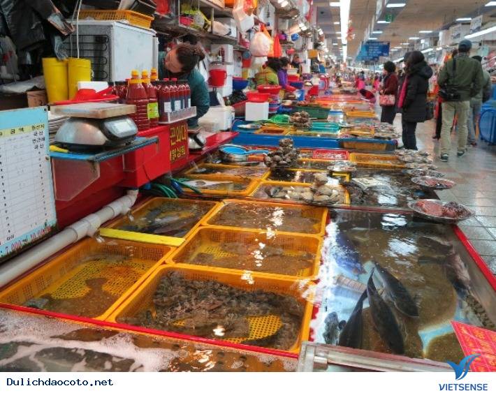 Bình minh tấp nập tại chợ hải sản Cô Tô - Ảnh 1