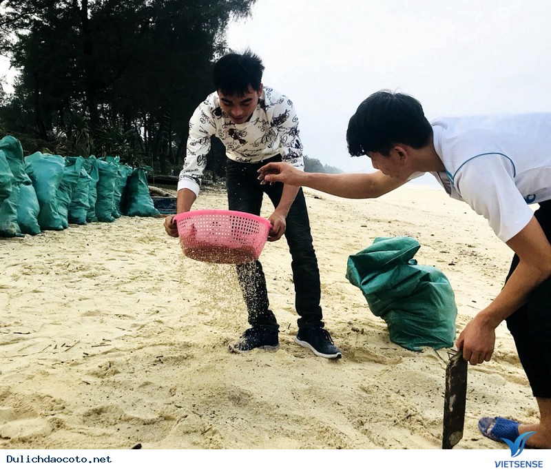 Cô Tô Phát Động Và Đẩy Mạnh Phong Trào Bảo Vệ Môi Trường - Ảnh 1 Cô Tô Phát Động Và Đẩy Mạnh Phong Trào Bảo Vệ Môi Trường - Ảnh 1