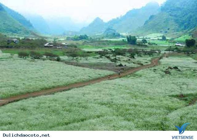 5 Điểm Đến Miền Bắc Đầy Hấp Dẫn Cho Mọi Kỳ Nghỉ - Ảnh 2 5 Điểm Đến Miền Bắc Đầy Hấp Dẫn Cho Mọi Kỳ Nghỉ - Ảnh 2