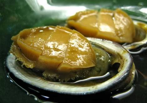 Bào Ngư Đảo Cô Tô - Ảnh 2