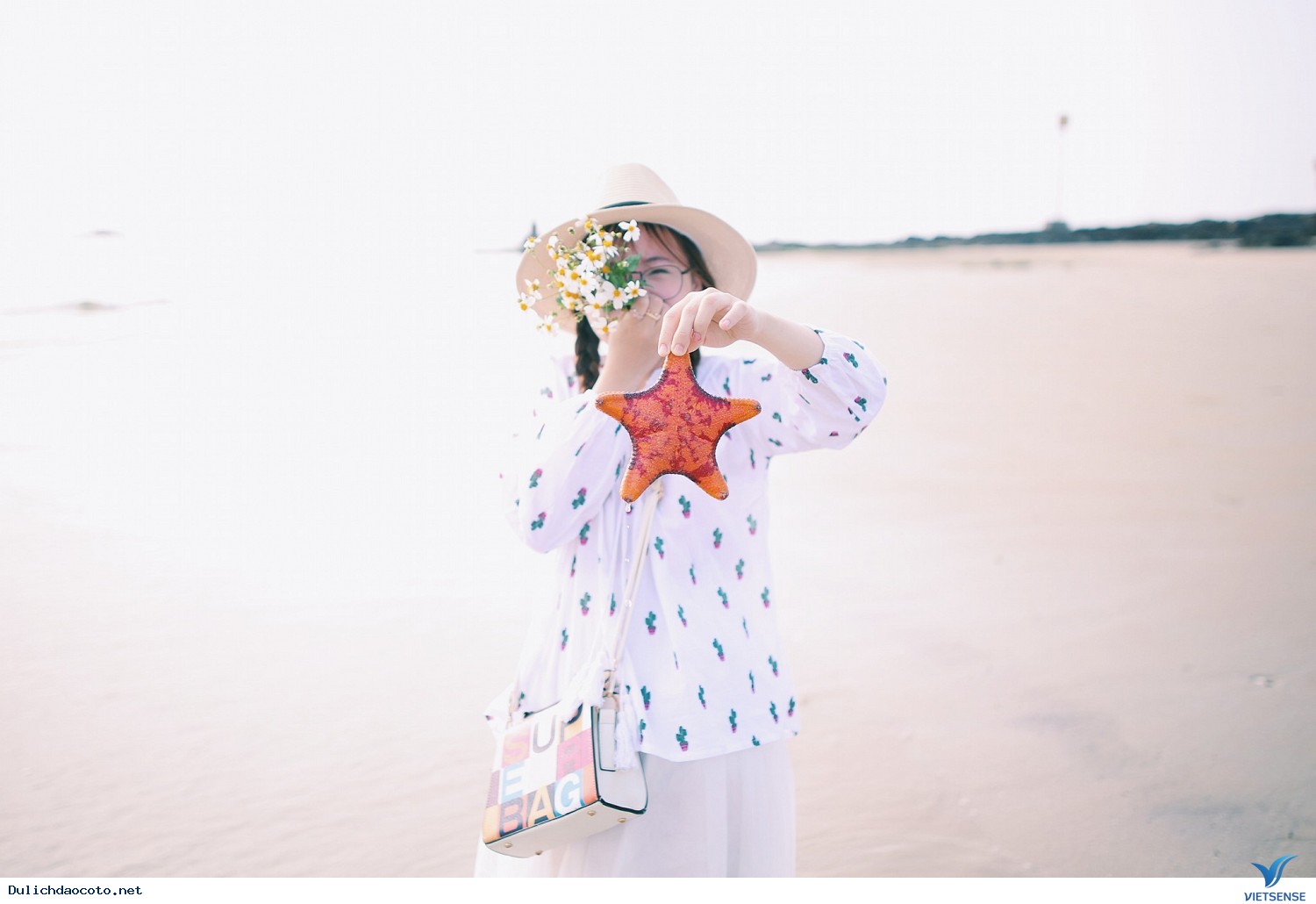 Bắt sao biển tại Cô Tô: trải nghiệm có 1-0-2 - Ảnh 1