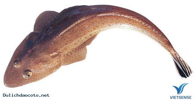 Cá Chai một nắng – đặc sản truyền thống đảo Cô Tô - Ảnh 2