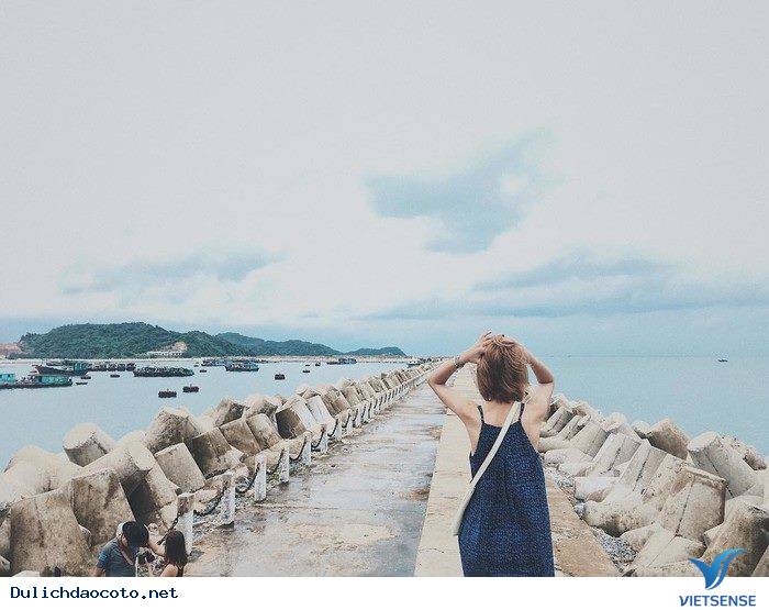 Cảm Nhận Gì Khi Sáng Bỗng Chốc Thức Dậy Ở Cô Tô - Ảnh 2