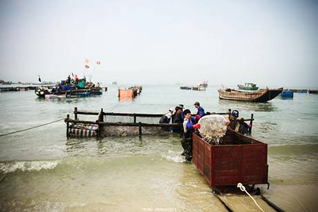 Cận Cảnh Chế Biến Sứa Trên Đảo Cô Tô - Ảnh 2