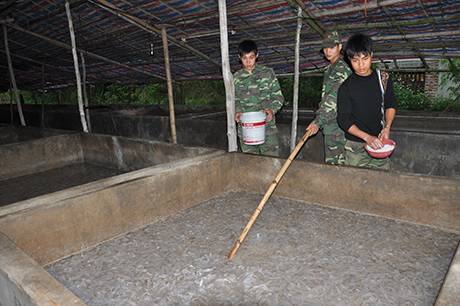 Cận Cảnh Chế Biến Sứa Trên Đảo Cô Tô - Ảnh 11