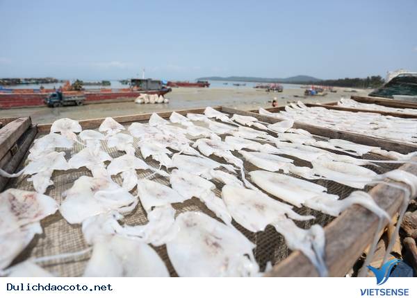 Cận Cảnh Quy Trình Chế Biến Mực Một Nắng Cô Tô - Ảnh 4 Cận Cảnh Quy Trình Chế Biến Mực Một Nắng Cô Tô - Ảnh 4