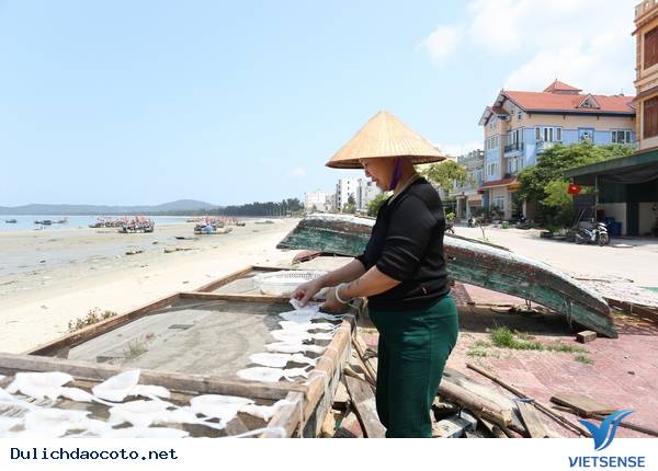 Cận Cảnh Quy Trình Chế Biến Mực Một Nắng Cô Tô - Ảnh 3 Cận Cảnh Quy Trình Chế Biến Mực Một Nắng Cô Tô - Ảnh 3