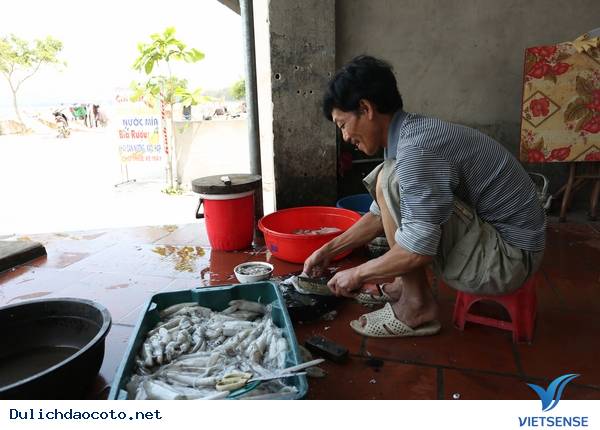 Cận Cảnh Quy Trình Chế Biến Mực Một Nắng Cô Tô - Ảnh 1 Cận Cảnh Quy Trình Chế Biến Mực Một Nắng Cô Tô - Ảnh 1