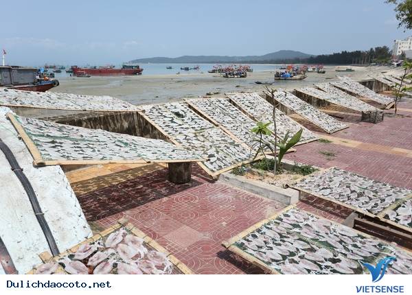 Cận Cảnh Quy Trình Chế Biến Mực Một Nắng Cô Tô - Ảnh 5 Cận Cảnh Quy Trình Chế Biến Mực Một Nắng Cô Tô - Ảnh 5