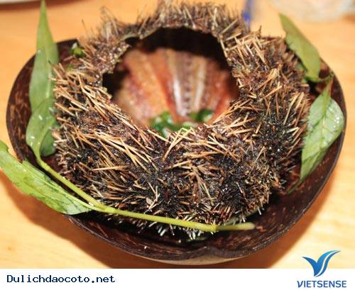 Cầu Gai Đảo Cô Tô - Ảnh 1 Cầu Gai Đảo Cô Tô - Ảnh 1