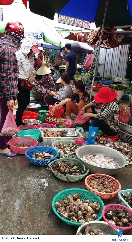Chợ Hải Sản - Một Góc Cuộc Sống Của Huyện Đảo Cô Tô - Ảnh 4 Chợ Hải Sản - Một Góc Cuộc Sống Của Huyện Đảo Cô Tô - Ảnh 4